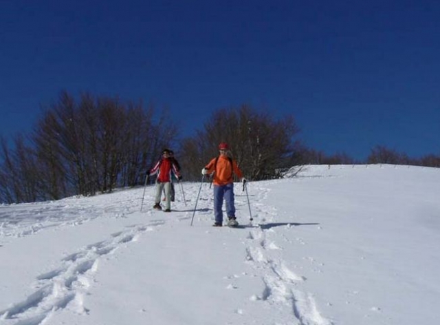  Raquetas de nieve en la zona de los 3 valles 